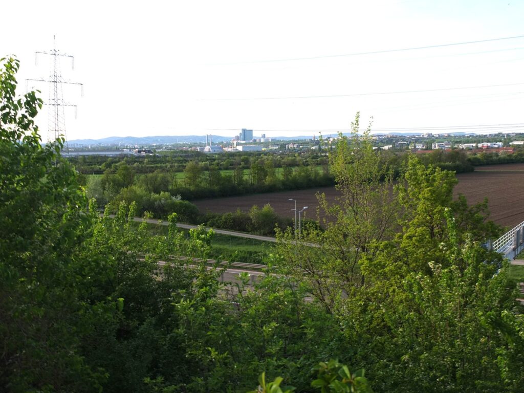02 Das Projektgebiet Rothneusiedl - wertvolles Ackerland, ein geschlossenes Flurgebiet, Reservoir für Frischluft und Grün. (Foto: LeO)
